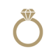 icon-ring2